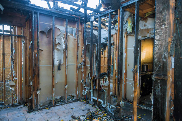 Professional Fire Damage Removal technician working in Pukalani, HI